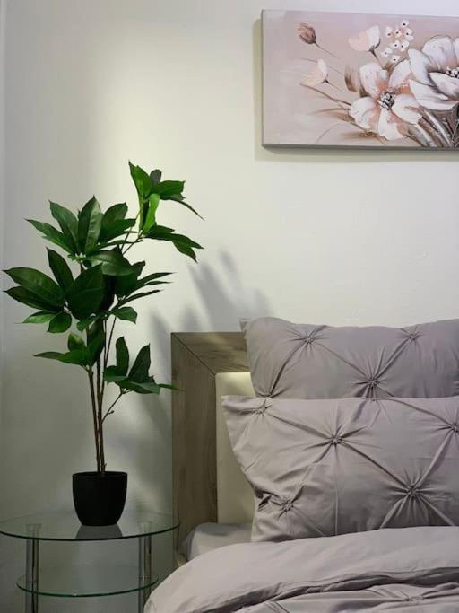 Studio Central Mm Apartments 브라쇼브 외부 사진