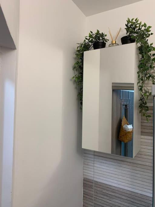 Studio Central Mm Apartments 브라쇼브 외부 사진